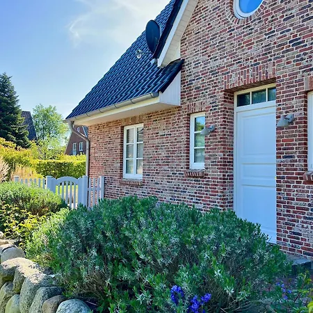 Rainbow Einzelhaus Rainbow Hus